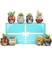 Buymax 8 Pack Animal Succulent Plant Pots, 3.0 Inch Mini Owl Ceramic Succulent Planter Pots - Owl...