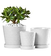 BUYMAX Succulent Planter –4”+5”+6” inch Ceramic Flower Pot with Drainage Holes and Ceramic Tray -...