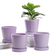 BUYMAX Plant Pots Indoor –5 in Ceramic Flower Pot with Drainage Hole and Ceramic Tray - Gardening...