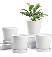 BUYMAX Plant Pots Indoor –5 inch Ceramic Flower Pot with Drainage Hole and Ceramic Tray - Gardeni...