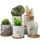 BUYMAX Succulent Plant Pots, 3.1 inch Marbling Ceramic Glazed Planters with Drainage Hole, Small ...