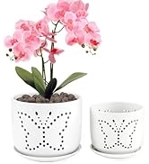 BUYMAX Set of 2 Orchid Pots with Holes & Trays, 5 Inch+6 Inch Ceramic Planters for Indoor Plants,...