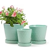 BUYMAX Succulent Planter –4”+5”+6” inch Ceramic Flower Pot with Drainage Holes and Ceramic Tray -...