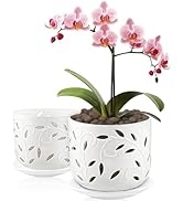 BUYMAX Set of 2 Orchid Pots with Holes & Saucers for Orchid Root Health, 5 inch&6 inch Ceramic Po...