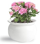 BUYMAX Self Watering Planter Pot, African Violet Pots 6 inch Ceramic Planter, Plant Planting Indo...