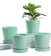 BUYMAX Plant Pots Indoor –5 in Ceramic Flower Pot with Drainage Hole and Ceramic Tray - Gardening...