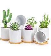 BUYMAX Succulent Plant Pots – 3.2 inch White Ceramic Flower Pot with Drainage Hole and Bamboo Tra...