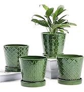 BUYMAX Plant Pots Indoor –5 inch Ceramic Flower Pot with Drainage Hole and Ceramic Tray - Gardeni...