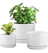 BUYMAX 4+5+6 inch Glazed Plant Pots with Connected Saucers, Round Modern Ceramic Flower Pots - Sm...