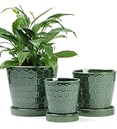 BUYMAX Succulent Planter –4”+5”+6” inch Ceramic Flower Pot with Drainage Holes and Ceramic Tray -...