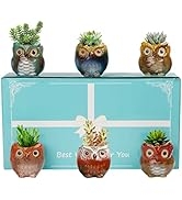 Buymax 6 Pack Animal Succulent Plant Pots, 3.0 Inch Mini Owl Ceramic Succulent Planter Pots - Owl...