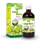 Gooseberry (Amla)