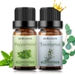 Peppermint + Eucalyptus